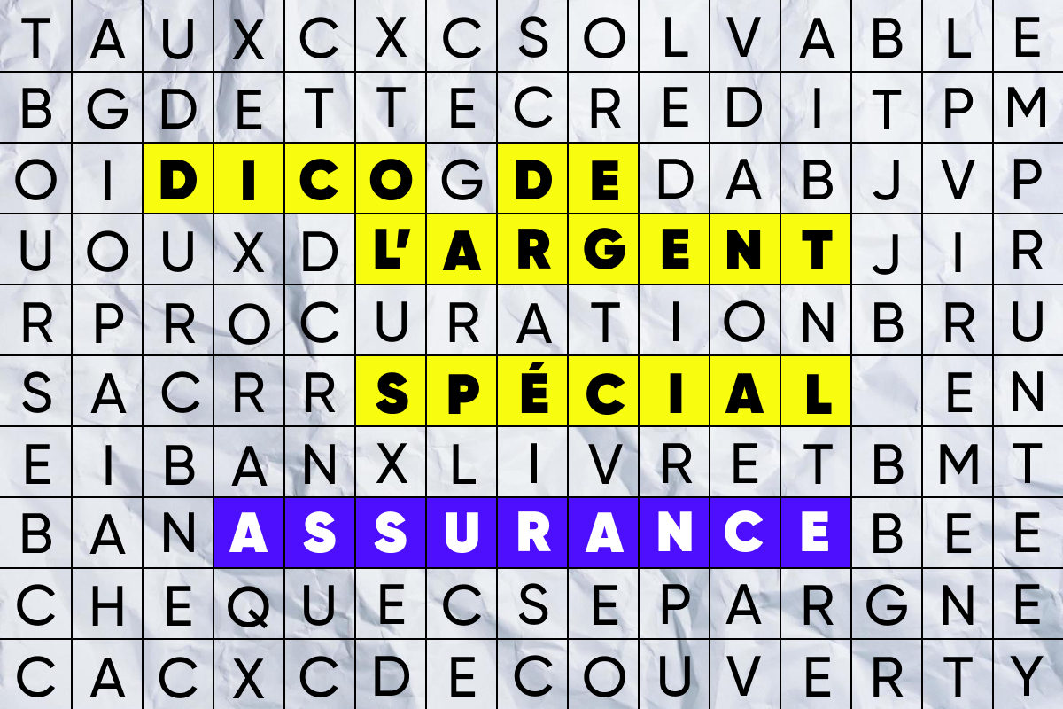 Dico spécial "assurance"